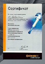 ornate pattern university diploma certificate.jpg